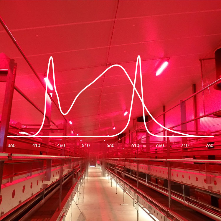 Spectra