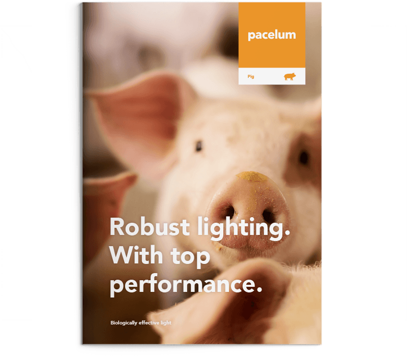 Brochure application pig