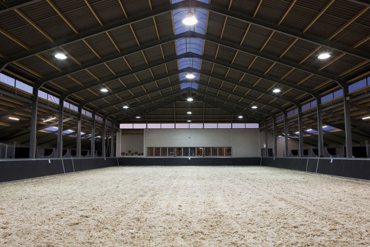 Optimal lighting in the dairy cow barn