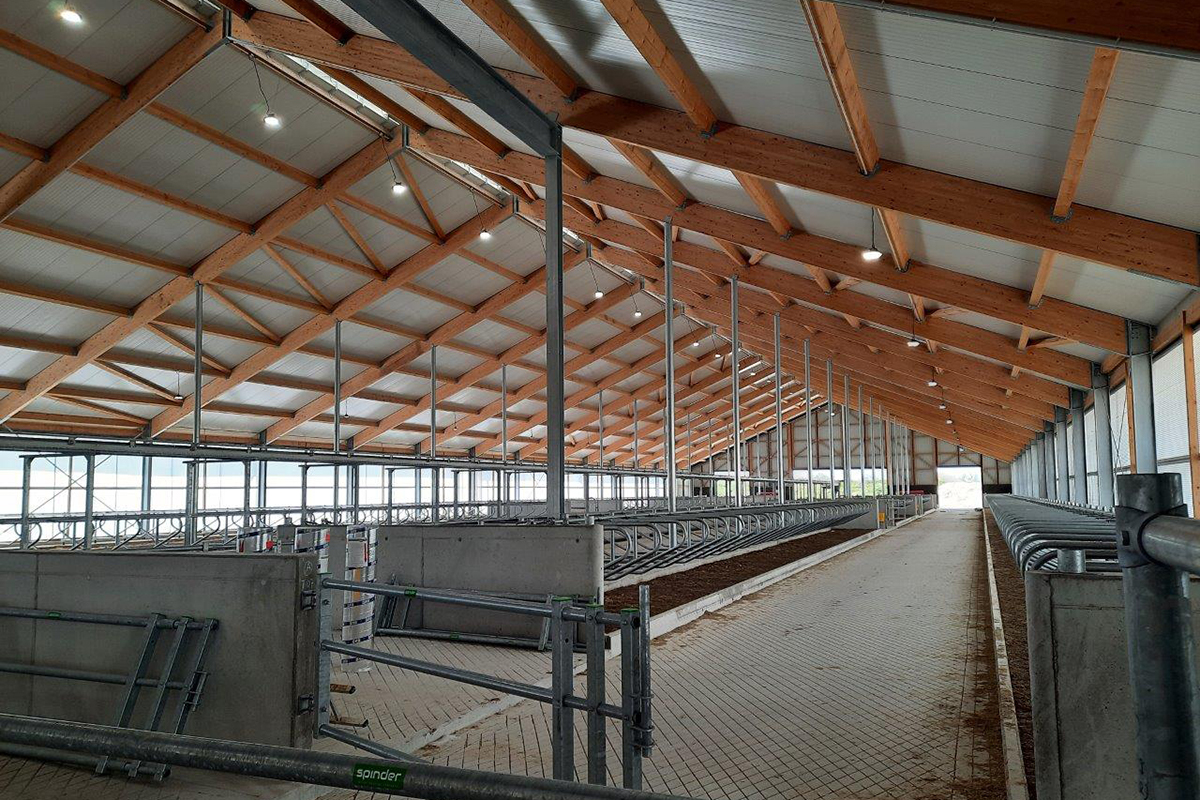 Optimal lighting in riding & dressage arenas