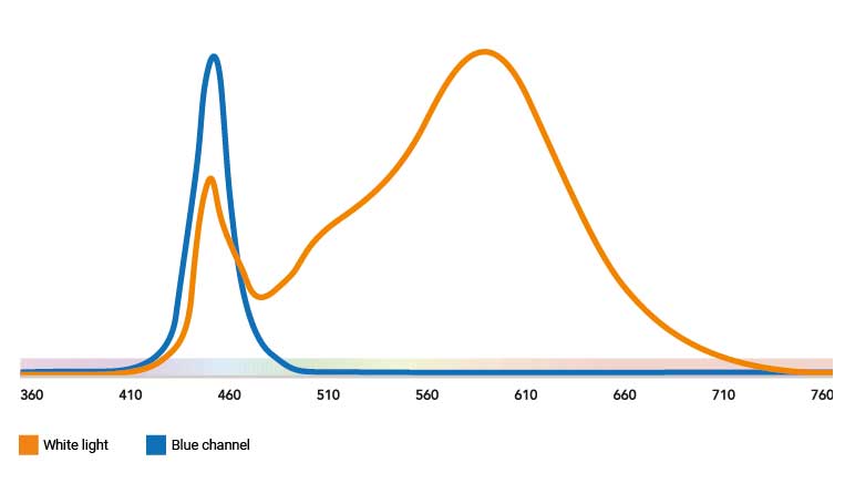 Spectra