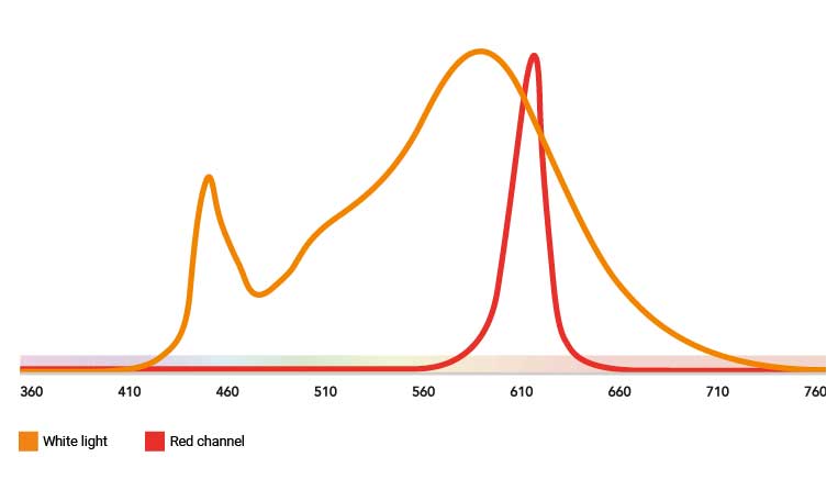 Spectra