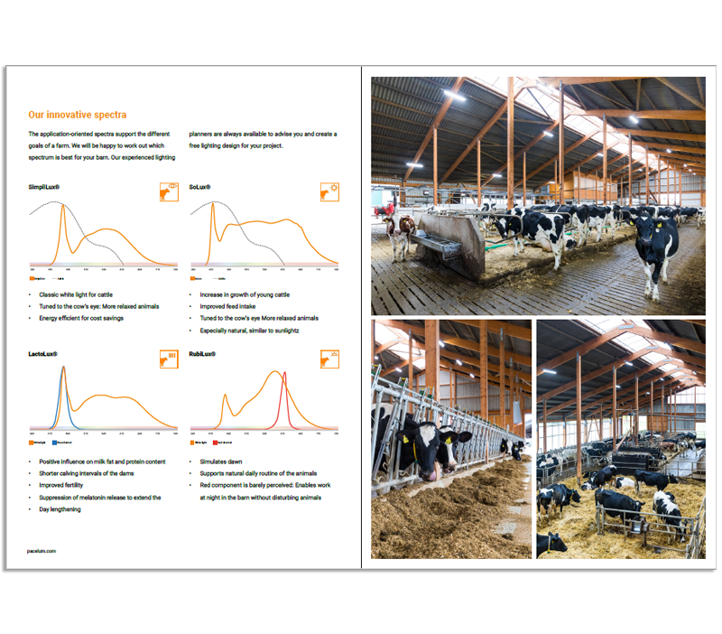 Brochure application cattle lighting