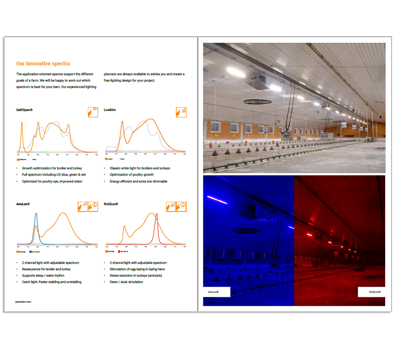 Brochure application poultry